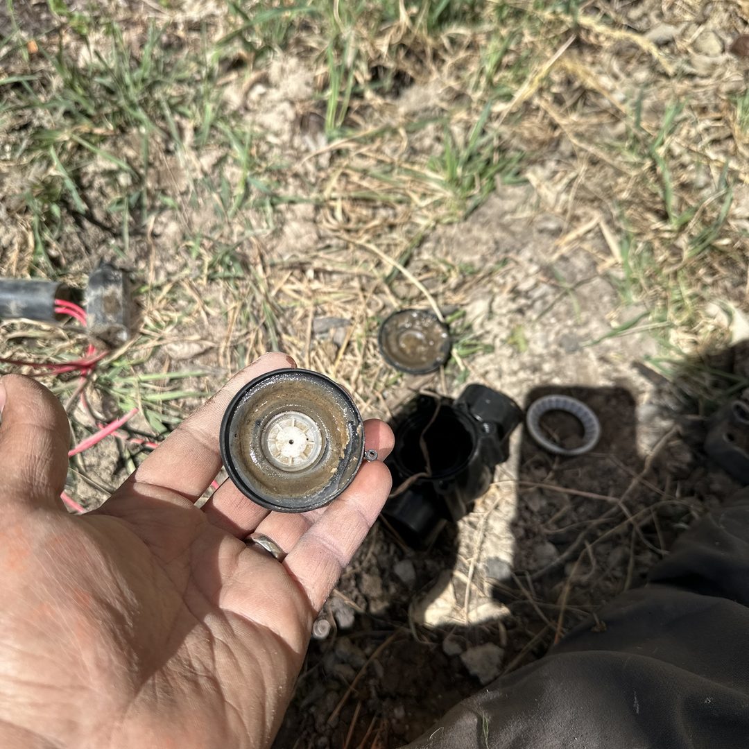 A dirt-clogged sprinkler valve diaphragm pulled out and cleaned